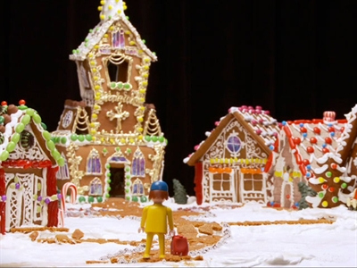 Video Sample