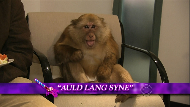 Late Show: David Letterman - Dave's Monologue - 1/2/13