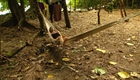 Survivor: Samoa - Secret Scene: Laura