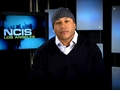 You Ask, They Tell: LL Cool J