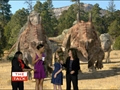 play video on CBS