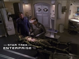 Star Trek: Enterprise: Enterprise - Hatchery