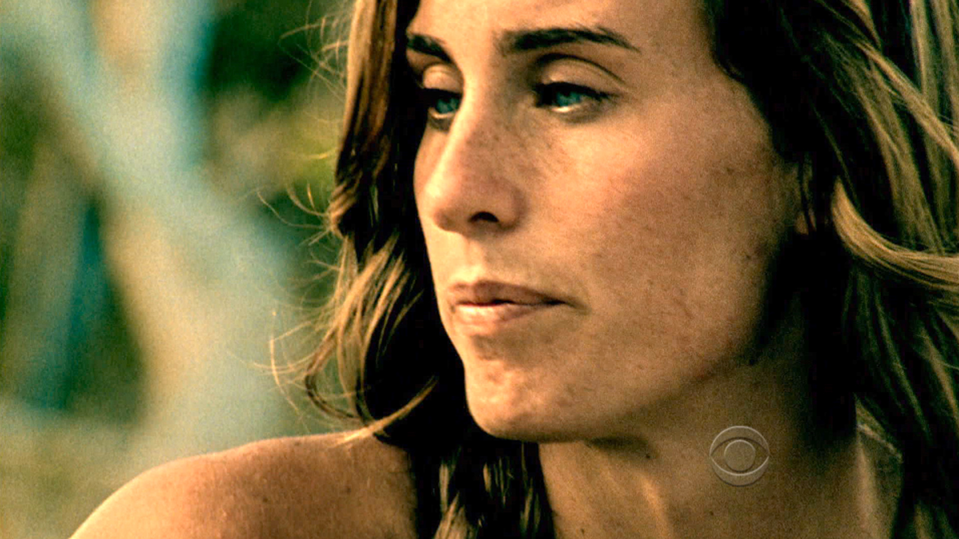 Survivor - Possibilities