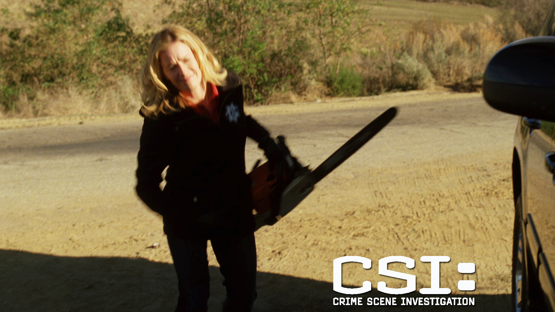 CSI:  - The Wisdom of Solomon