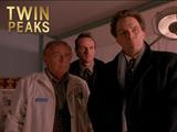 Twin Peaks - Rest In Pain