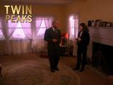 Twin Peaks - Arbitrary Law