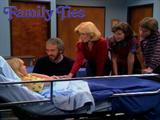 Family Ties - Diary of a Young Girl