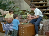 The Brady Bunch - Confessions Confessions