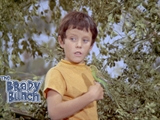 The Brady Bunch - What Goes Up