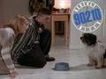play video on CBS