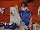 7th Heaven - Faith, Hope And The Bottom Line
