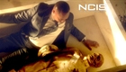 NCIS - Your King Is Vulnerable