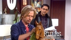 Rules Of Engagement - In A Pickle