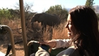 Around the World for Free - Ep 31: South Africa: Township and Safari