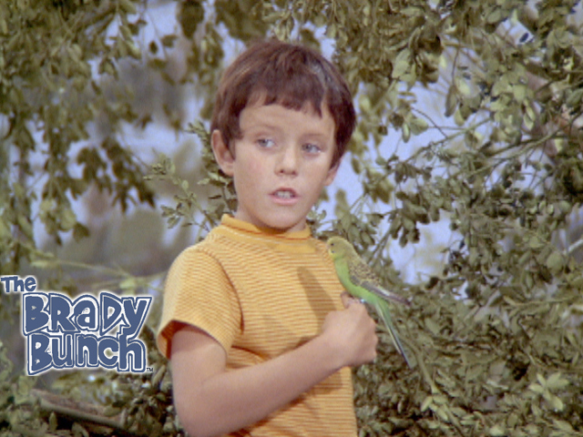 The Brady Bunch - What Goes Up