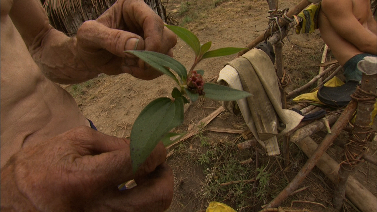 Survivor: Gabon - Bob's Mystery Fruit