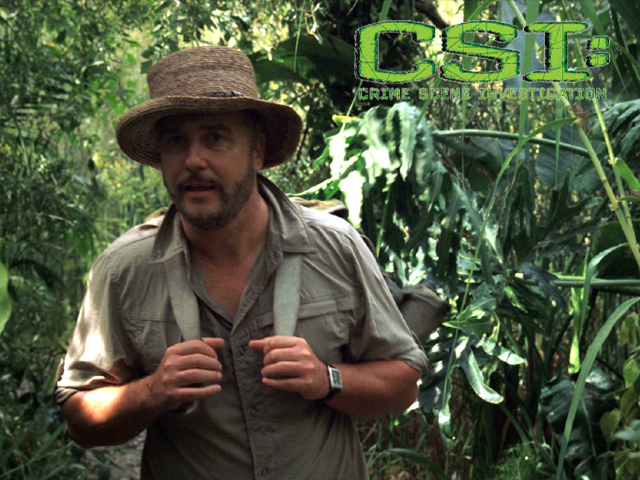CSI: - Grissom Ends Up With Sara