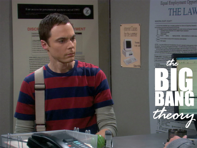 The Big Bang Theory - ISO Menial Job