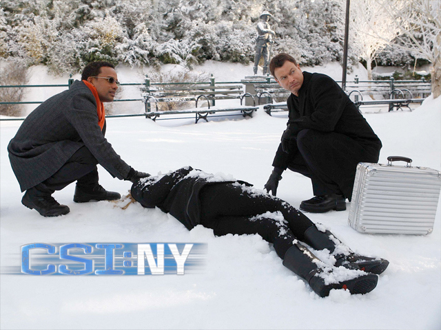 CSI: NY - Sanguine Love