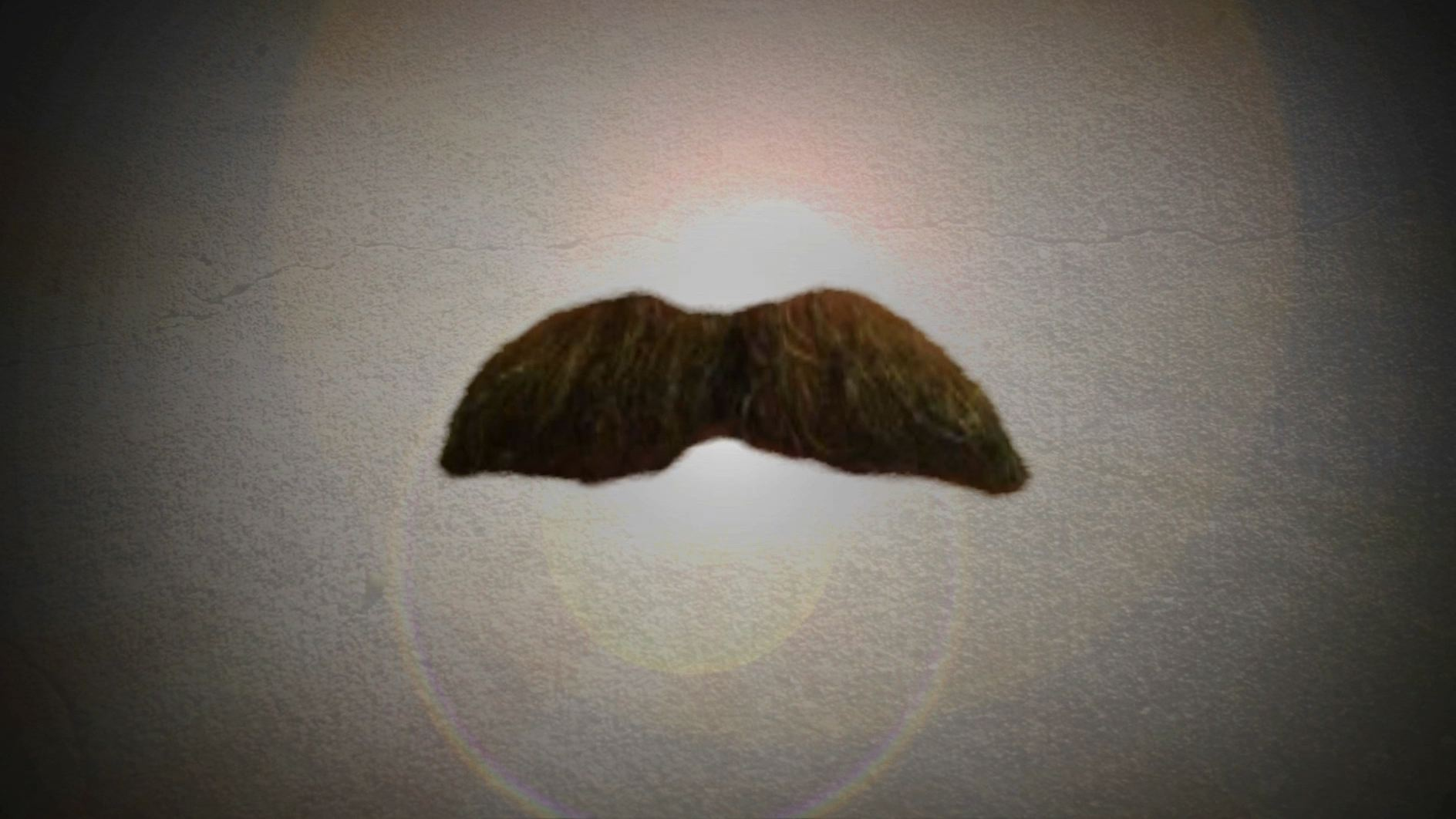 Blue Bloods. Blue Bloods