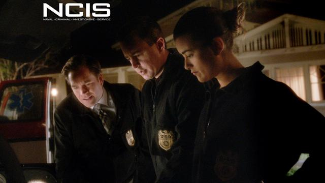NCIS - Radiated Head