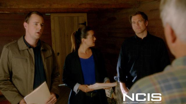 NCIS - A Weakness