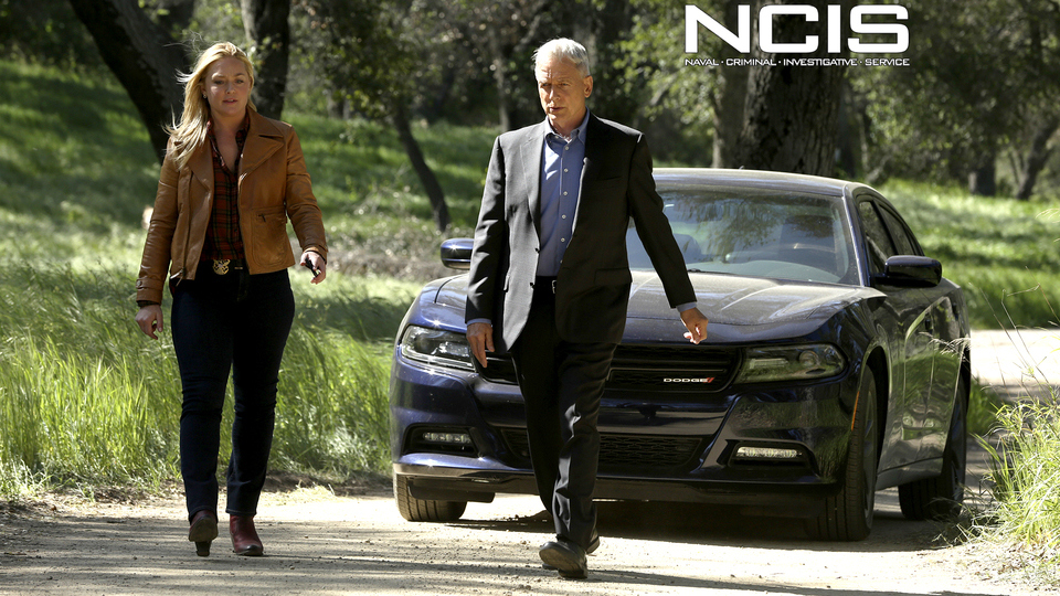 NCIS : Beastmaster'