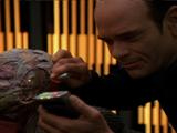 Star Trek: Voyager - Lifesigns