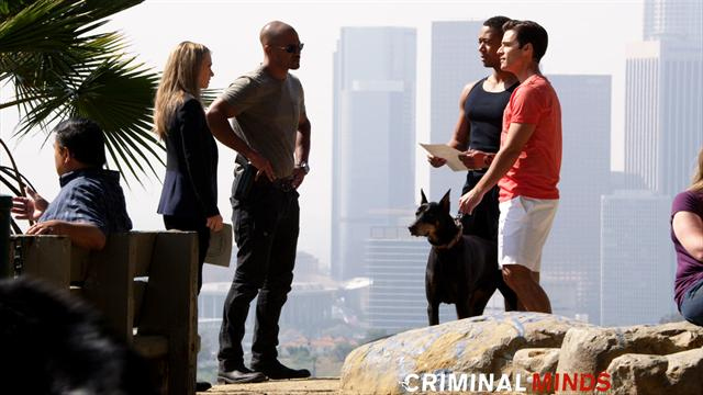 Criminal Minds - Canvas The Area