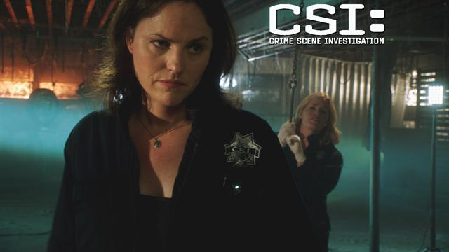 CSI: - The Kill Room