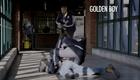 Golden Boy - Suspect Tackled