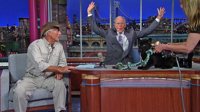 David Letterman - 