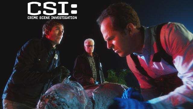 CSI: - Murder In Paradise