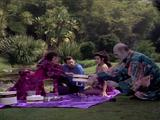 Star Trek: The Next Generation - Menage A Troi