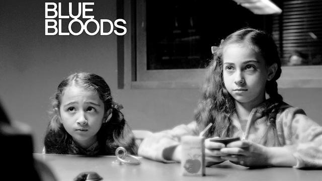 Blue Bloods - The Shield