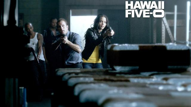 Hawaii Five 0 - Borrowed Time