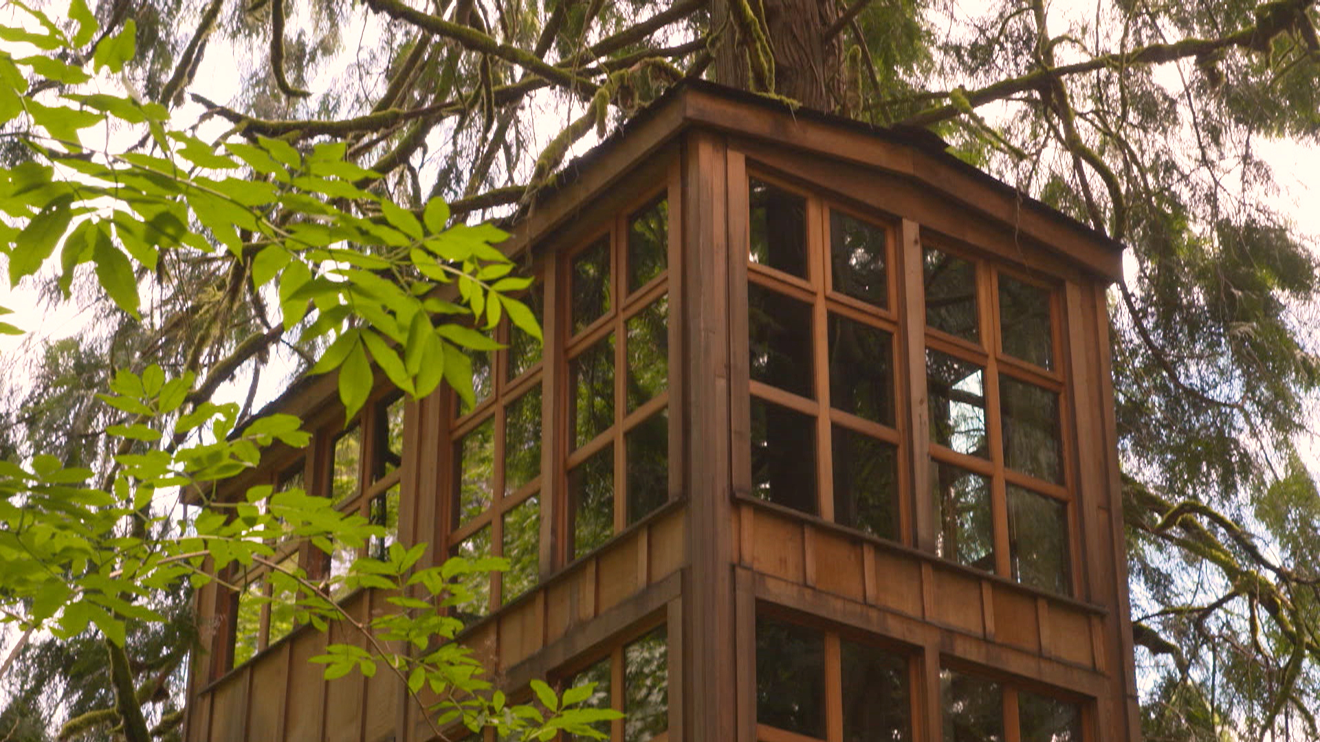 Watch Innovation Nation Season 4 Episode 1 Luxury Tree Houses