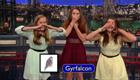David Letterman - Piedmont Bird Callers: Gyrfalcon