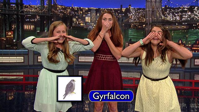 The Late Show: David Letterman - Piedmont Bird Callers: Gyrfalcon