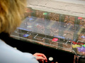 Video Features: The Next Generation of Game Developers