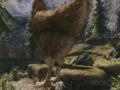 Video Features: Top 5 Skyrim Mods of the Week - Hyper Atomic Chicken Cannon