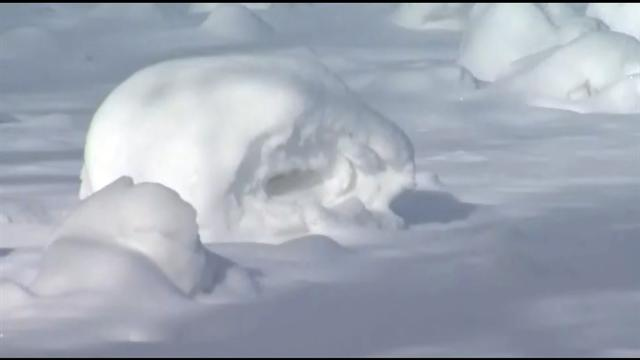 U.s.: Snow rollers fascinate Vermont residents