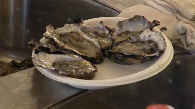 CBS Evening News: Environmentalists at odds over oysters