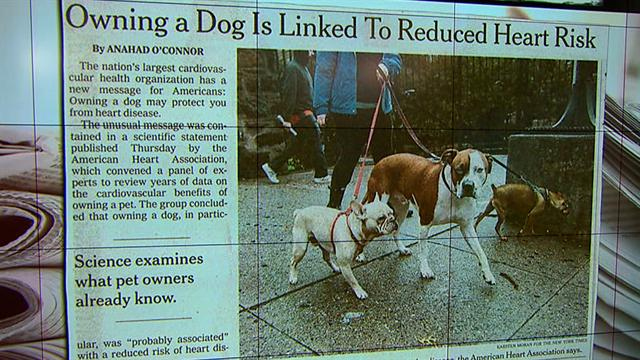CBS This Morning HealthWatch: Study: Owning a dog reduces heart disease risk
