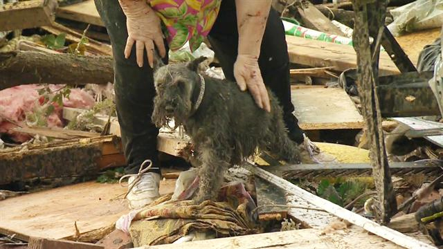 CBS Evening News: Okla. tornado survivor finds dog buried alive under rubble
