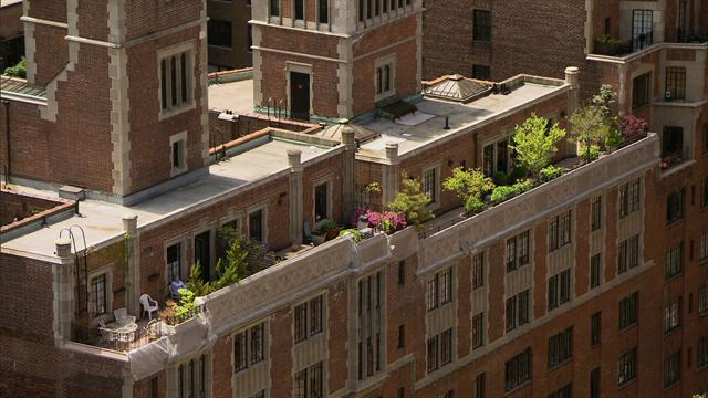 Sunday Morning: Gardens in the New York sky