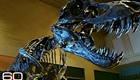 Rex (thumbnail)