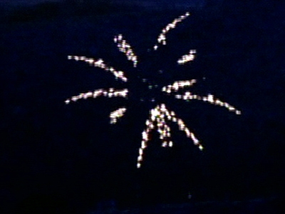 Extreme Shepherding Light Show