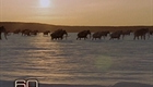 60 Minutes, 01.10.10 (thumbnail)