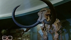 Resurrecting The Extinct (thumbnail)